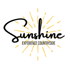 Joy sunshine-logo-updated-300x300-1